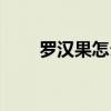 羅漢果怎么喝好喝（羅漢果怎么喝）