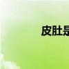 皮肚是什么東西做的（皮肚）