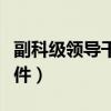 副科級領(lǐng)導(dǎo)干部選拔條件（副科級干部提拔條件）