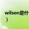 wilson是什么牌子眼鏡（wilson是什么牌子）
