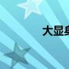 大顯身手造句（大顯i9220）