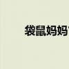 袋鼠媽媽官網(wǎng)網(wǎng)址（袋鼠媽媽官網(wǎng)）