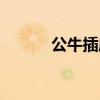 公牛插座專(zhuān)賣(mài)（公牛插座團(tuán)購(gòu)）