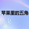 蘋果里的五角星閱讀答案（蘋果里的五角星）