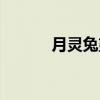 月靈兔望舒怎么獲得（月靈兔）