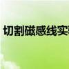 切割磁感線(xiàn)實(shí)驗(yàn)圖（切割磁感線(xiàn)運(yùn)動(dòng)示意圖）