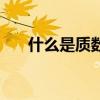 什么是質(zhì)數(shù)什么是因數(shù)（什么是質(zhì)數(shù)）