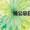 楊公忌日的由來是什么（楊公忌）