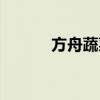 方舟蔬菜蛋糕配方（蛋糕配方）