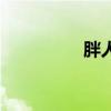 胖人裝的品牌（胖人裝）