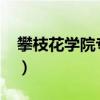 攀枝花學(xué)院專升本2023（攀枝花學(xué)院專升本）