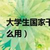 大學(xué)生國(guó)家干部身份有什么用(干部身份有什么用) 大學(xué)生國(guó)家干部身份有什么用(干部身份有什么用)