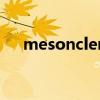 mesoncler是什么牌子（meso ncler）