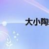 大小陶虹分別是誰（大小陶虹）