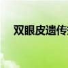 雙眼皮遺傳規(guī)律圖解（雙眼皮遺傳規(guī)律）