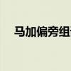 馬加偏旁組詞語有哪些（馬加偏旁組詞）