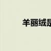 羊麗絨是什么面料圖片（羊麗絨）