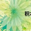 積木雞1998（積木雞）