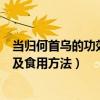當(dāng)歸何首烏的功效與作用及食用方法（何首烏的功效與作用及食用方法）