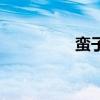 蠻子是指哪里人（蠻子）