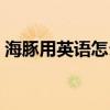 海豚用英語怎么說讀音（海豚用英語怎么說）