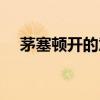 茅塞頓開的意思解釋（茅塞頓開的意思）