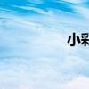 小彩旗現(xiàn)照（小彩旗吧）
