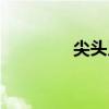 尖頭叉子是誰（尖頭叉子）