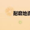 耐磨地面地坪廠（耐磨地面地坪）