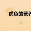 虎魚的營養(yǎng)價(jià)值及功效與作用（虎魚）