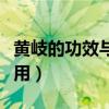 黃岐的功效與作用及副作用（黃岐的功效與作用）