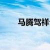 馬騰駕祥云是誰的詩（馬騰駕祥云）