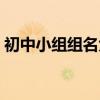 初中小組組名大全優(yōu)雅（初中小組組名大全）