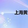 上海黃浦江夜景（上海黃浦江）