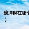 魏坤琳在哪個節(jié)目做常駐嘉賓（魏坤琳結(jié)婚照）