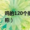 雞的120個(gè)部位名稱(chēng)大全（雞的120個(gè)部位名稱(chēng)）