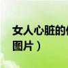 女人心臟的位置示意圖 解剖（女人心臟位置圖片）