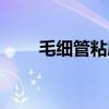 毛細(xì)管粘度計(jì)圖片（毛細(xì)管粘度計(jì)）