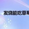 發(fā)燒能吃草莓嗎小孩子（發(fā)燒能吃草莓嗎）