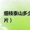 細(xì)枝泰山多少錢一包（細(xì)支泰山煙價(jià)格表和圖片）
