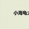 小海龜大冒險(xiǎn)2（小海龜大冒險(xiǎn)）