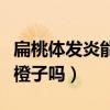 扁桃體發(fā)炎能吃火龍果嗎（扁桃體發(fā)炎可以吃橙子嗎）