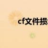 cf文件損壞解決方法（cf文件修復(fù)）