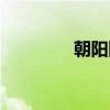 朝陽(yáng)網(wǎng)站開發(fā)（朝陽(yáng)網(wǎng)站）