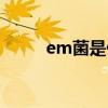 em菌是什么菌種（em菌是什么）