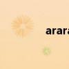 ararat香煙（avatar啥煙）