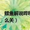 鯉魚解說嗶哩嗶哩個人空間（dnf個人空間怎么關）