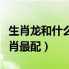 生肖龍和什么生肖最配結婚（生肖龍和什么生肖最配）