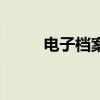 電子檔案和紙質(zhì)檔案（電子檔案）