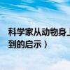科學(xué)家從動物身上得到的啟示有哪些（科學(xué)家從動物身上得到的啟示）